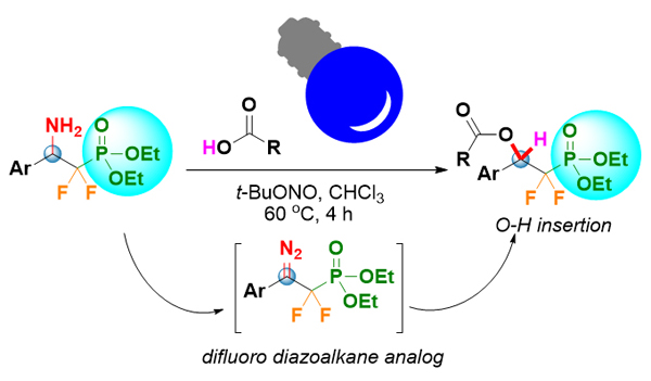 Esterification Of Carboxylic Acids With B Diazo A A Difluoroethyl Phosphonates Under Photochemical Conditions