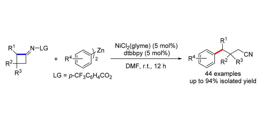 Chinese Journal Of Organic Chemistry