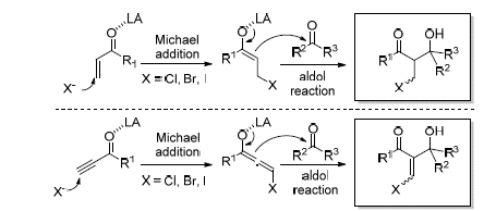 kalv Leopard Faial Cascade Halo-Michael/Aldol Reaction and Its Application in Synthesis