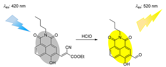 A Naphthalimide Based Hypochlorous Acid Selective Fluorescent Probe And Its Application In Cell Imaging