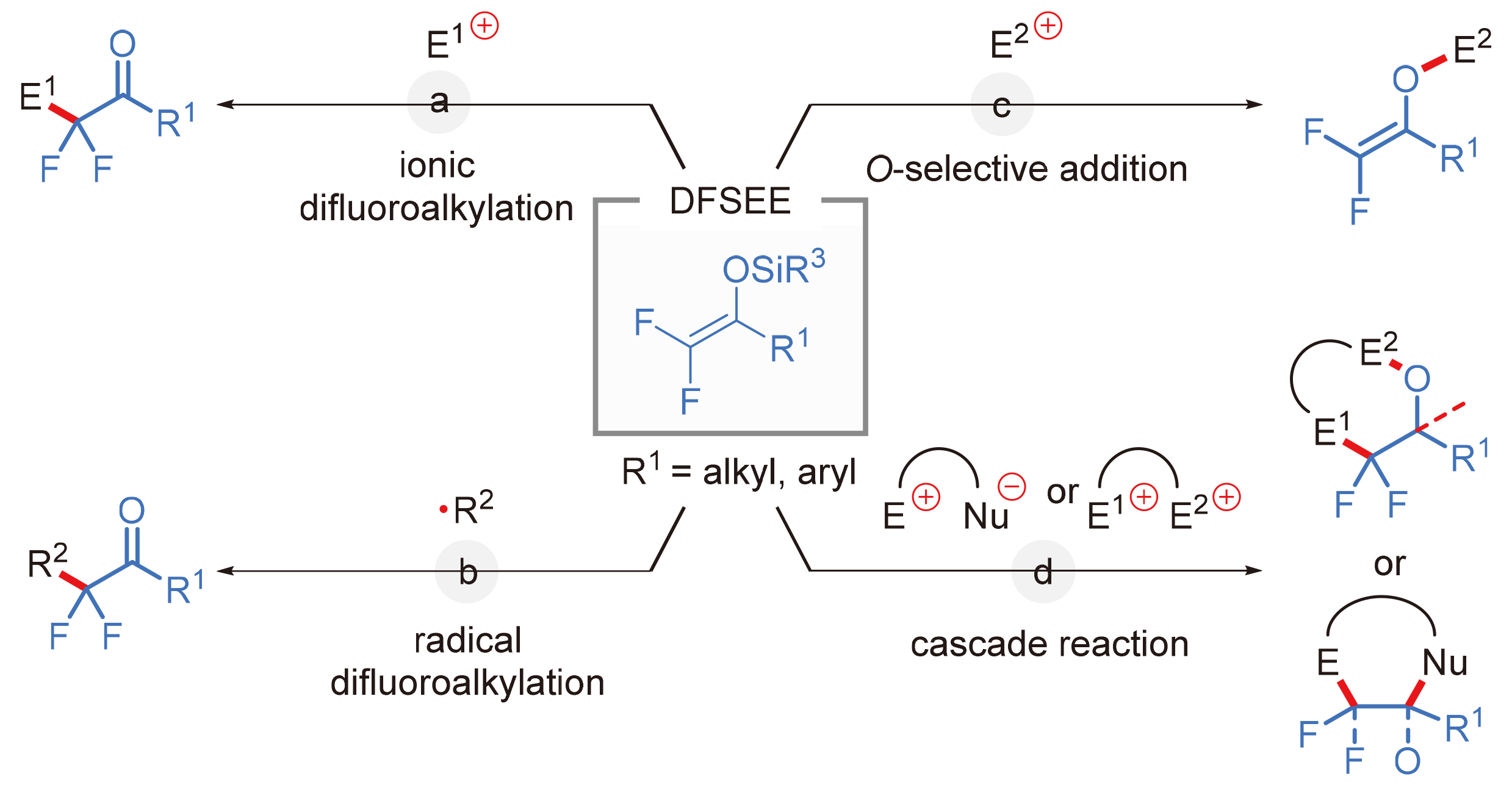 Difluorinated Silyl Enol Ethers As Fluorine Containing Building Blocks For The Synthesis Of 